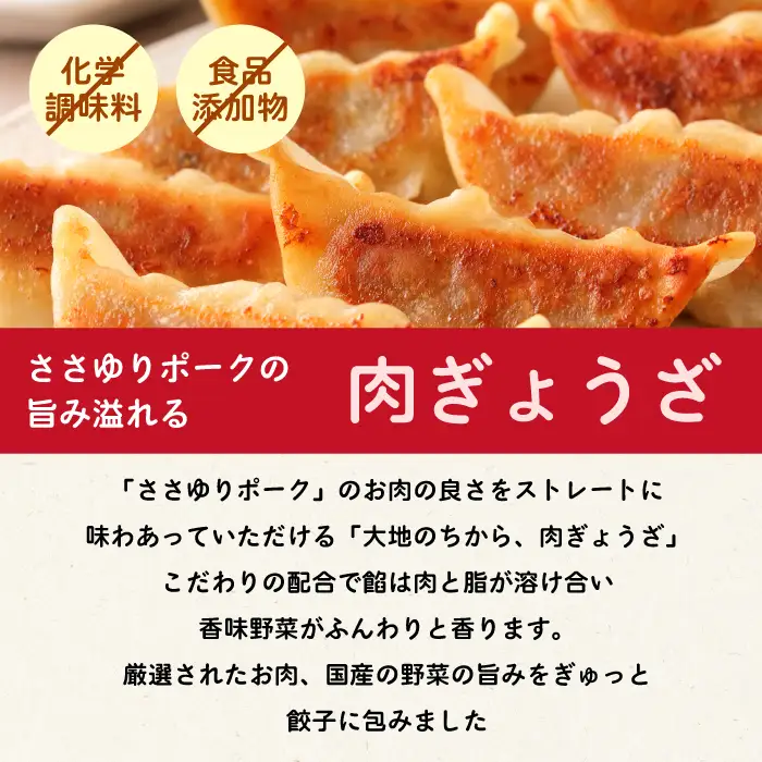 paoの無添加餃子「大地のちから 肉ぎょうざ」840g(約40個) 餃子 ギョーザ 惣菜 冷凍 中華 点心 おかず おつまみ 国産野菜 058008