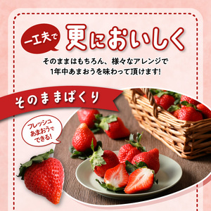 【いちごの年間定期便】　あまおう　約560g（約280g×2パック）× 12月～5月まで計6回　　 冷凍あまおう　1000g（500g×2パック）×6月～11月まで計6回 〔Fi052〕