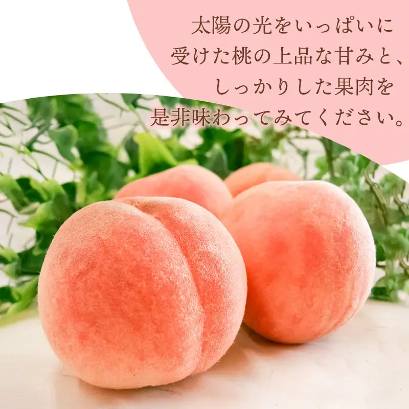 【令和8年産先行予約】 桃 品種おまかせ 5kg(15玉～18玉) 山形県鶴岡市産　株式会社 元青果