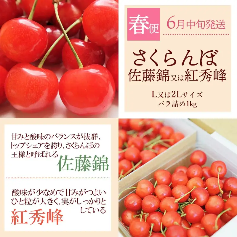 【令和8年産先行予約】 鶴岡から春夏秋のフルーツ定期便【3回お届け】山形県鶴岡産　株式会社 元青果