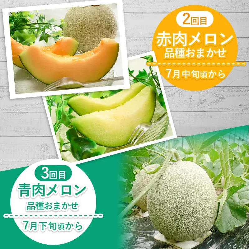 【令和8年産先行予約】 メロン好きのメロン定期便 【3回お届け】 山形県鶴岡市産　株式会社 元青果　| メロン めろん 山形 鶴岡 庄内 庄内産 東北 フルーツ 果物 くだもの 夏 旬 人気 おすすめ 美味しい お取り寄せ 返礼品