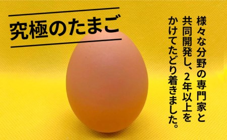 【黄身がつかめる！ブランド卵】TOCO-tori EGG ギフトBOX 卵 9個入り 高級卵 たまご 五島市 / 五島列島大石養鶏場 [PFQ001]  玉子 タマゴ 鶏卵 希少 五島列島