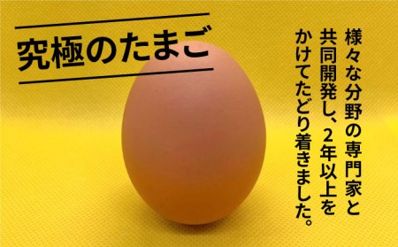 【黄身がつかめる！ブランド卵】TOCO-tori EGG おうち贅沢ボックス 卵 20個入 高級卵 たまご 五島市 / 五島列島大石養鶏場 [PFQ002]  玉子 タマゴ 鶏卵 希少 五島列島