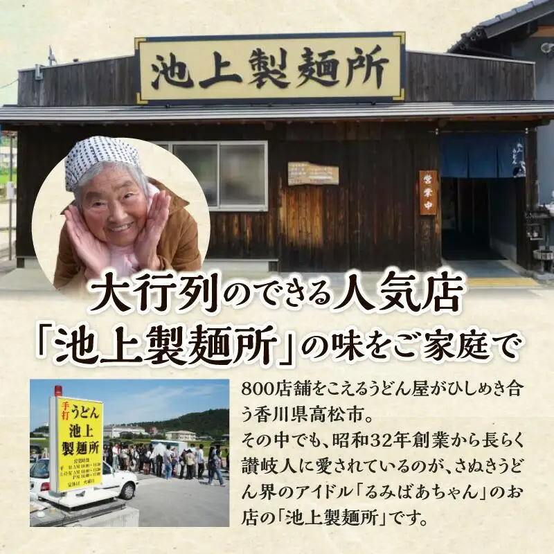 本家　池上製麺所　生うどん（鎌田醤油付）2袋（6人前） うどん