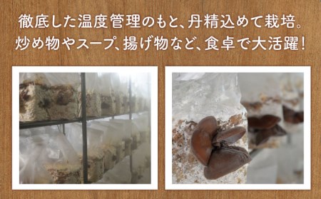 きくらげ 3種 計270g /菓子工房ピュアハート [UDF001] きくらげ