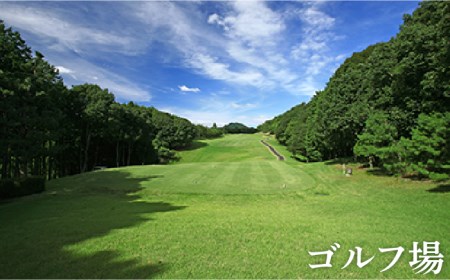 ゴルフ場利用券 計15,000円分/武雄嬉野カントリークラブ [UAA001] ゴルフ
