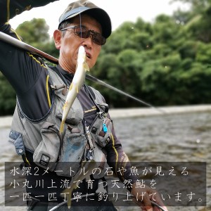 【数量限定】 天然 鮎 約500g [小丸川天然鮎工房hikaru 宮崎県 美郷町 31af0005]