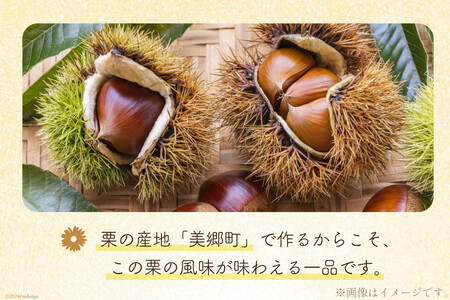 期間限定 美郷栗 ジェラート 120ml×6個セット [OttO-OttO 宮崎県 美郷町 31ae0008]