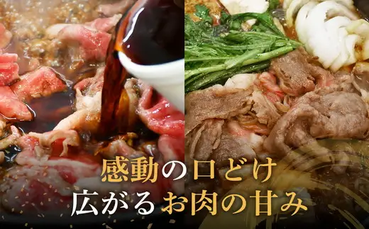 松阪牛ロースすき焼き（500グラム） 牛肉 すき焼き【3-143】