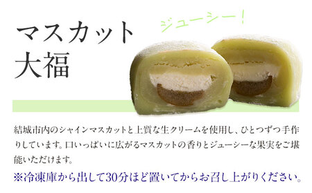 和菓子 シャインマスカット大福 12個入 富士峰菓子舗《90日以内に出荷予定(土日祝除く)》 和菓子 手作り マスカットの香り ジューシー 手土産 【配送不可地域あり】 st-p