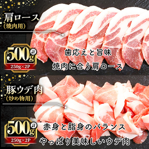 国産 豚 豚肉 ロース 肩ロース モモ ウデ 鹿児島県産 天恵美豚 (250g×12P・計3kg) 【アグリおおすみ】B142-v01