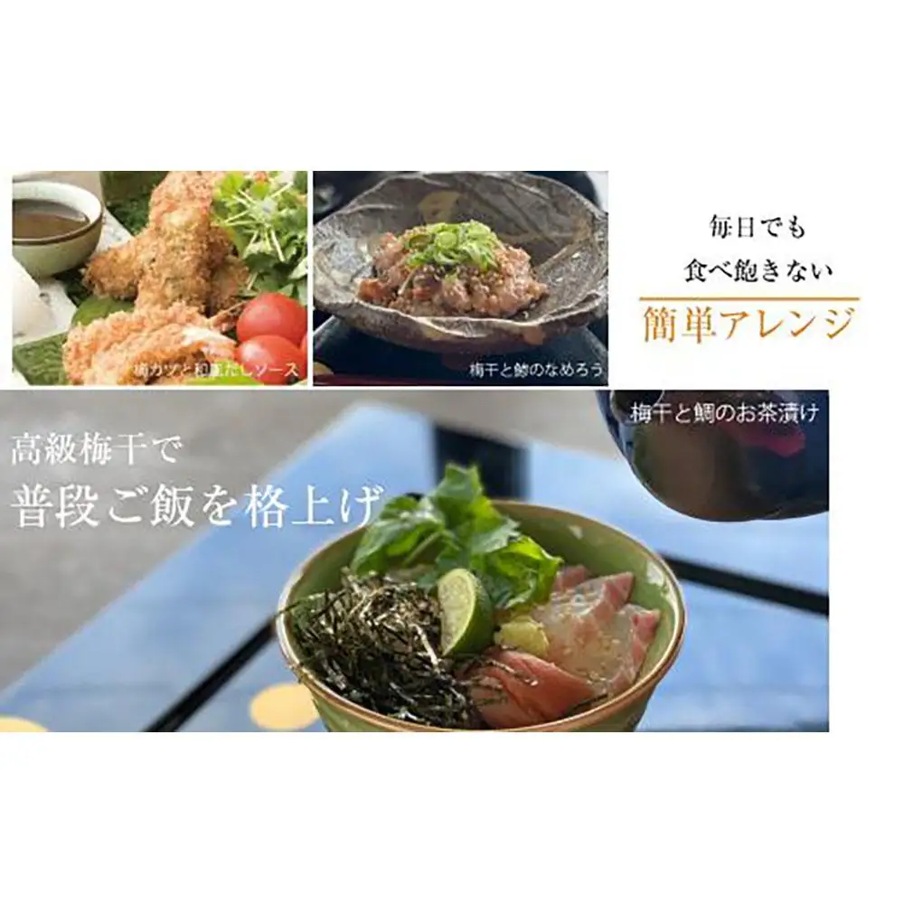 訳あり はちみつ梅干 まろやか梅 皮切れ450g×2パックセット 紀州南高梅 産地直送