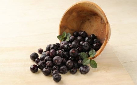 九重町産 冷凍 ブルーベリー 約1kg (1kg×1袋)  果物 フルーツ 冷凍フルーツ 冷凍果物 大分県 九重町産 