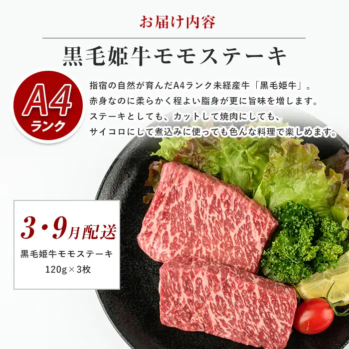 定期便 全3回 ステーキ 黒毛姫牛ステーキ 定期便 Meatyou IBZ029-002 定期便