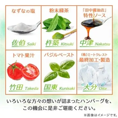 大分の恵みハンバーグ 1.6kg (160g×10個)(日出町)_肉 ハンバーグ 牛肉   肉 ハンバーグ 豚肉 _【配送不可地域：離島】【1373904】