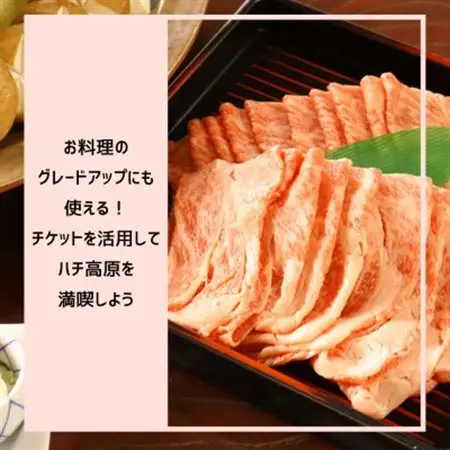 【宿泊や体験などに使える】このはなフリーチケット36,000円分【1373800】