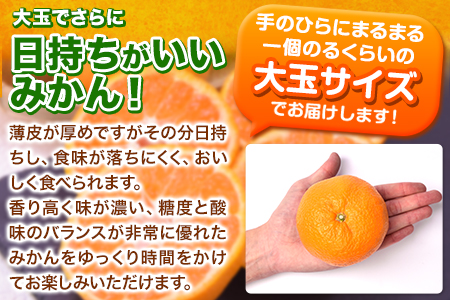  訳あり 大粒みかん 6kg  5L～3Lサイズ 《2027年1月中旬-2月末頃出荷》 みかん 訳ありみかん 熊本県産みかん 大容量