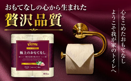 トイレットペーパーダブル 24個 トイレットロール 日用品  [BDAM021] 