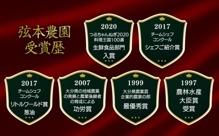 弦本農園のこだわりのつるちゃんねぎ 80g×10束 | 葱 ねぎ ネギ 小葱 小ねぎ 小ネギ 薬味 大分県 中津市