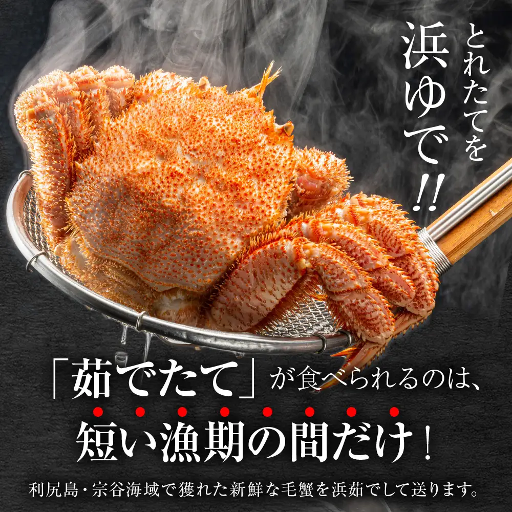【2027年発送予約】チルドでお届け！ 浜茹で毛ガニ中サイズ４尾（不揃い合計約2kg） 〈福士水産〉