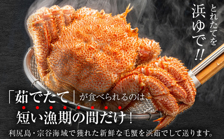【2027年発送予約】チルドでお届け！ 浜茹で毛ガニ特大２尾（不揃い合計約1.6kg） 〈福士水産〉