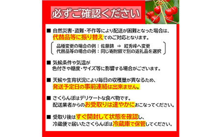 【令和8年産先行予約】 さくらんぼ 「佐藤錦」 540g (180g×3パック 秀 L以上) 《令和8年6月中旬～7月中旬発送》 『フードシステムズ』 サクランボ 果物 山形県 南陽市 [1695]