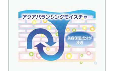 26-340．【3回定期便】あろえの森 浸透保湿化粧水 300ml（2個セット）