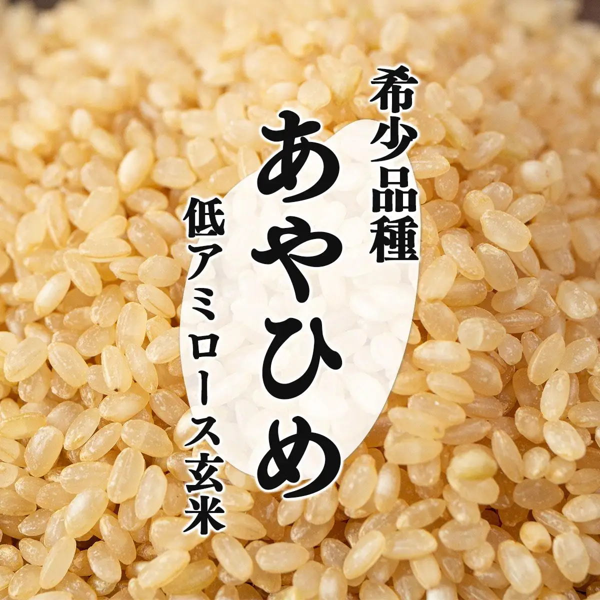 令和7年産 北海道岩見沢市産 あやひめ玄米5kg ≪沖縄・離島配送不可≫