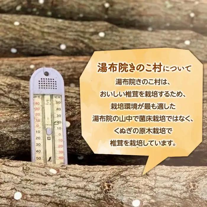湯布院【有機原木椎茸】とミートキノコソース180g×2袋セット