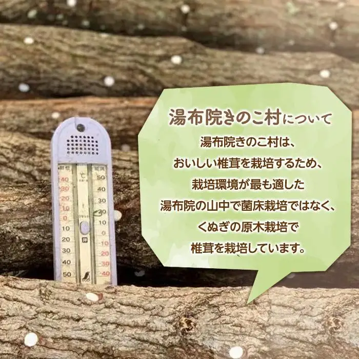 湯布院【有機原木椎茸】とシイタケベーゼ100g×2本セット