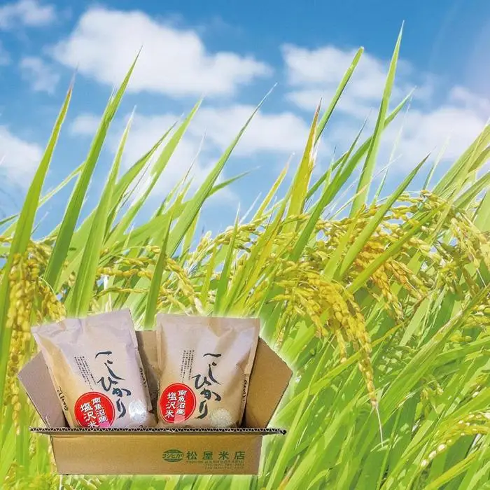 令和7年産　南魚沼塩沢地区「大沢産コシヒカリ」特A米　2ｋｇ×2袋【2025年10月上旬より順次発送予定】【銘柄米 ブランド米 精米 こしひかり コシヒカリ 魚沼産 新潟米 産地直送 お米 米 こめ コメ ご飯 御飯 ごはん】
