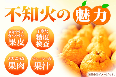 不知火 約 4.5kg～ 5kg みかん《2027年2月下旬-4月下旬頃出荷》熊本県産(荒尾市産含む) 柑橘 フルーツ フレッシュフーズ 不知火 果物 デコポン と同品種 送料無料 果物 シラヌヒ シラヌイ フレッシュフーズ 美味しい不知火 旬の不知火 ジューシー不知火 フルーツ不知火