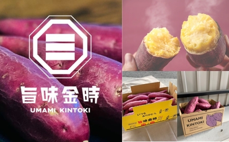 【予約受付中・2026年11月中旬頃より順次発送】鳴門市大津産　旨味金時 5kg　鳴門　ほくほく　天ぷら　焼き芋　スイーツ　さつまいも　