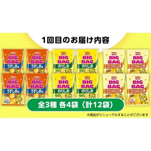 【 スナック菓子 3ヶ月 定期便 】 カルビー 湖池屋 人気 48袋 詰め合わせ バラエティ セット