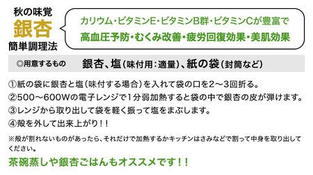 【 先行予約 】10月上旬以降発送 銀杏 ぎんなん 約1kg 殻付き Lサイズ 小分け