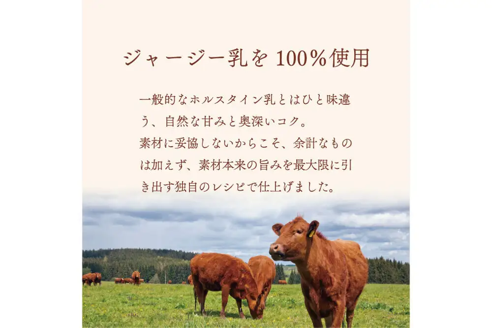 ジェラテリア TiG（ティグ）イタリアンジェラート 無着色・無香料 ミルキージャージー 2000ml（2L）