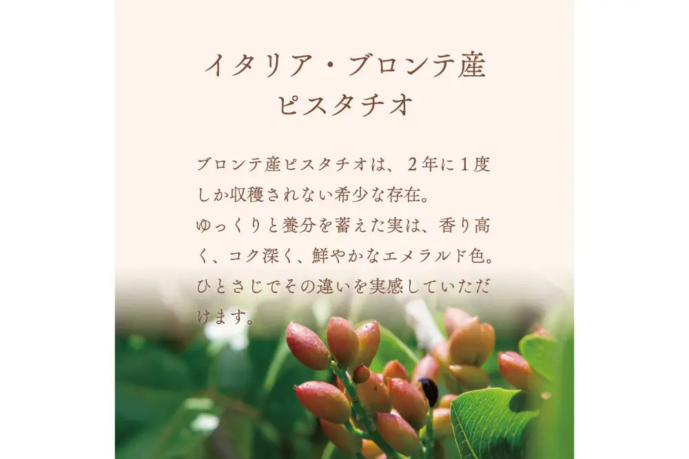 ジェラテリア TiG（ティグ）イタリアンジェラート 無着色・無香料 イタリアンピスタチオプレミアム 2000ml（2L）