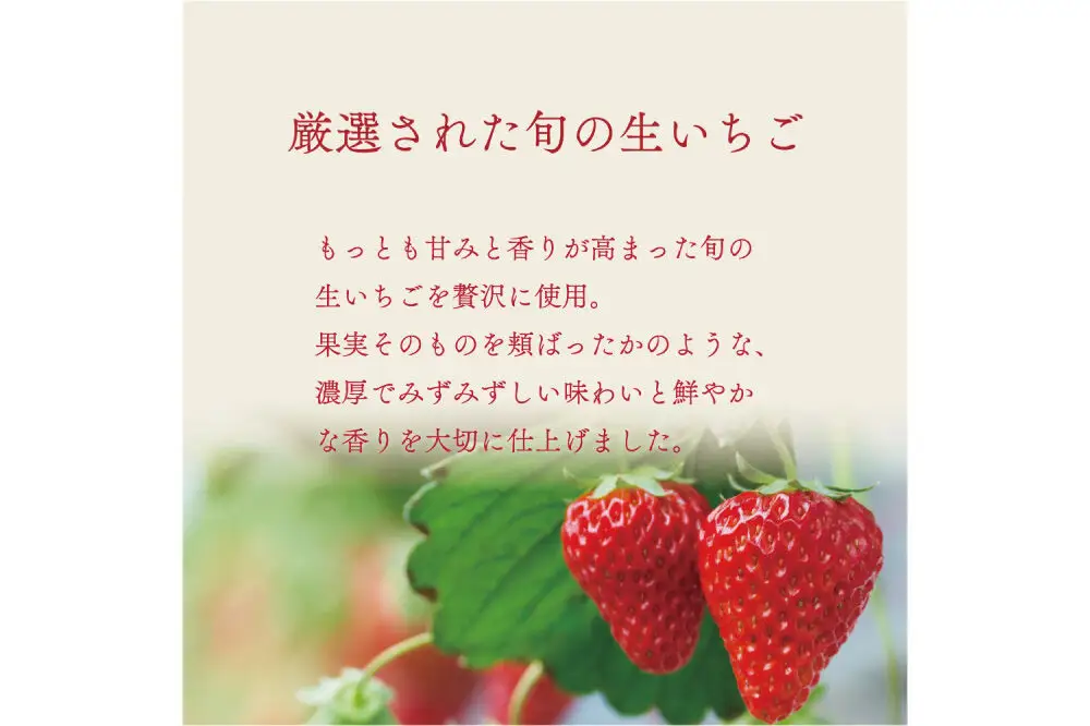 ジェラテリア TiG（ティグ）イタリアンジェラート 無着色・無香料 濃いちごソルベ 2000ml（2L）