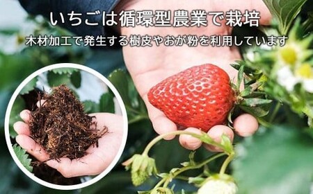 完熟いちごのクラフトビール ×4本セット【西粟倉ヒノキ醸造所】無濾過ストロベリージューシーエールル M-MQ-A00A