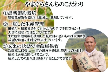 ＜ 定期便 6回 ＞ 北海道産 希少米 おぼろづき 白米 10kg （ 5㎏ ×2 ） 北海道 新ひだか町