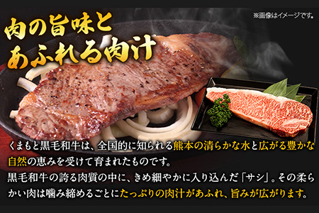 くまもと黒毛和牛 サーロインステーキ 500g ( 250g x 2枚 ) 牛肉 冷凍 《30日以内に出荷予定(土日祝除く)》 くまもと黒毛和牛 黒毛和牛 冷凍庫 個別 取分け 小分け 個包装 ステーキ肉 にも サーロインステーキ 美味しい牛肉 熊本牛肉 ジューシー牛肉 贅沢な牛肉 