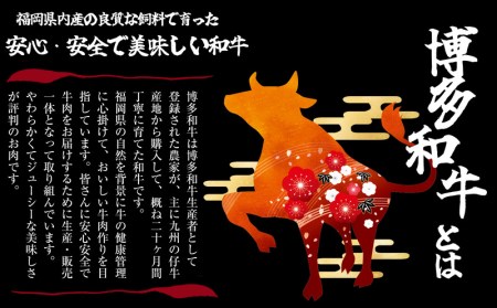 博多和牛 ヒレ ステーキ 300g 定期便 3回 | 和牛