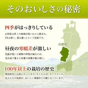 【先行予約 2026年度発送】☆フルーツ王国山形☆プラム（秋姫）1.4kg 秀品 フルーツ 果物 くだもの 果実 食品 山形県 FSY-2549
