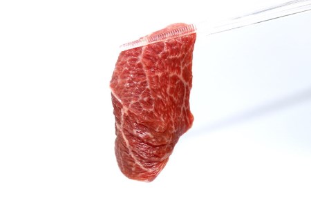 【2回 定期便 】至福の焼肉セットB 1kg×2回 総計2kg《隔月1回お届け》[ 仙台牛 焼肉 牛肉 豚肉 ] / 関精肉畜産 / 宮城県 加美町 [44580899] 44580899