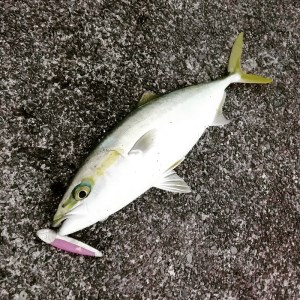 a14-033　ぶるぶる80 フィッシング ルアー 2個 セット 釣り 具