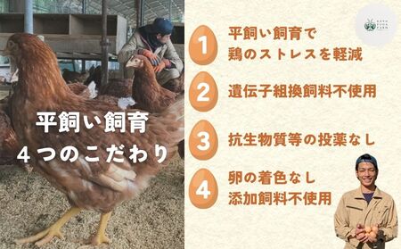 【毎月定期便／6ヶ月】平飼い飛鳥の卵 40個／ 卵 たまご 玉子 生卵 鶏卵 生たまご たまごかけごはん 卵焼き 目玉焼き 冷蔵 チルド 古都風雅ファーム 奈良県 宇陀市 ふるさと納税