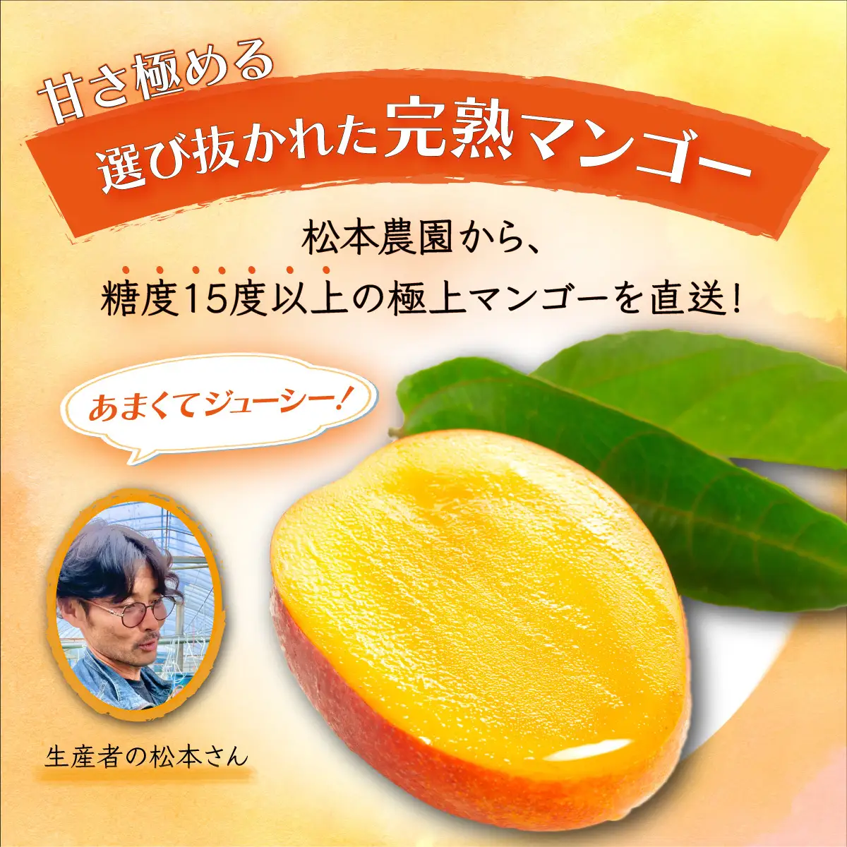   厳選！濃厚完熟マンゴー L・2Lサイズ（糖度15度以上）【2026年5月中旬頃から6月初旬発送】 B-406