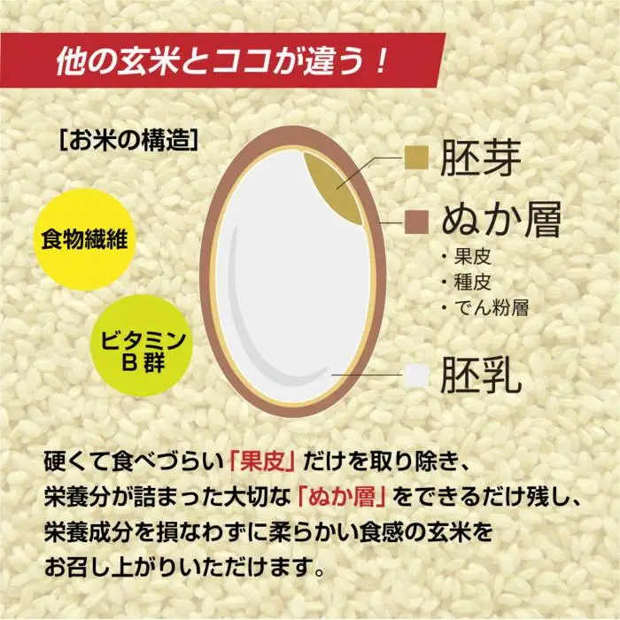 南魚沼産 コシヒカリ 普通に炊ける 玄米 2kg×2袋 計4kg こしひかり 新潟県 米 玄米食 コメ こめ【銘柄米 ブランド米 玄米 こしひかり コシヒカリ 魚沼産 新潟米 産地直送 お米 米 こめ コメ ご飯 御飯 ごはん】