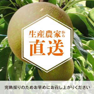 完熟採り　もりやま梨（幸水）3キロ～3.5キロ【先行予約】 CW-0006