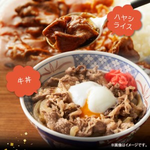 宮崎牛 切り落とし500g N0140-YA2294